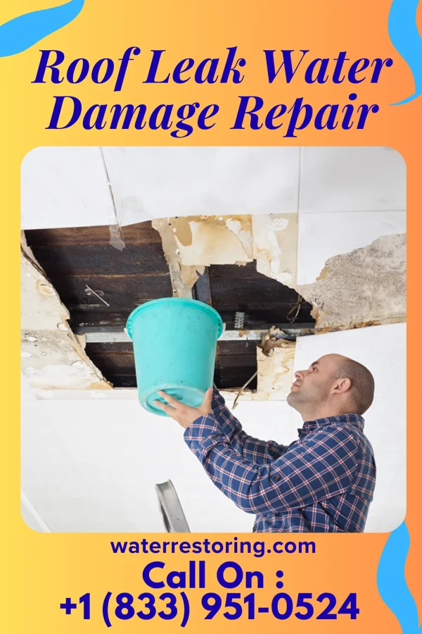 Roof Leak Water Damage Repair in Whispering Pines, NC